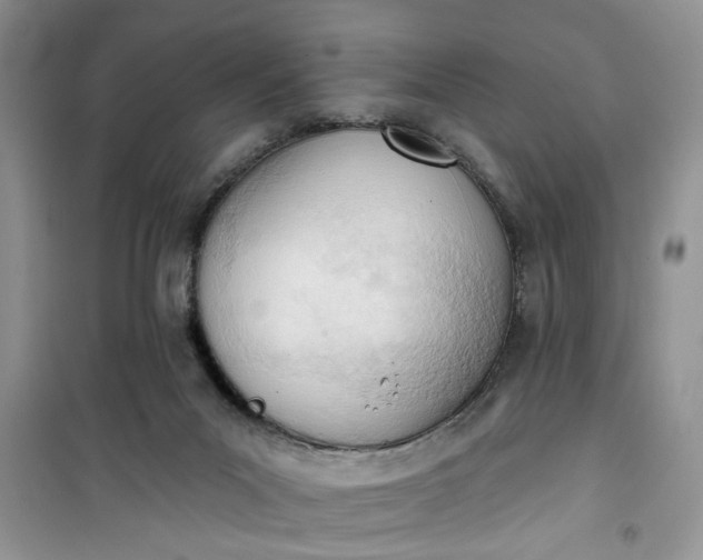 X0000100960023200807081252