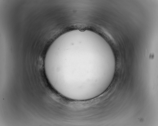 X0000100960025200807081252