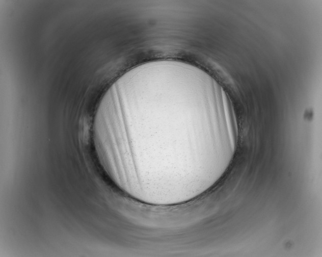 X0000100960026200807081252