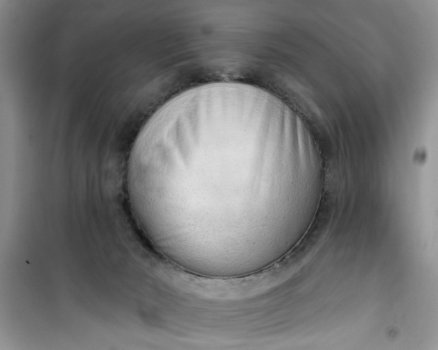 X0000100960030200807081252