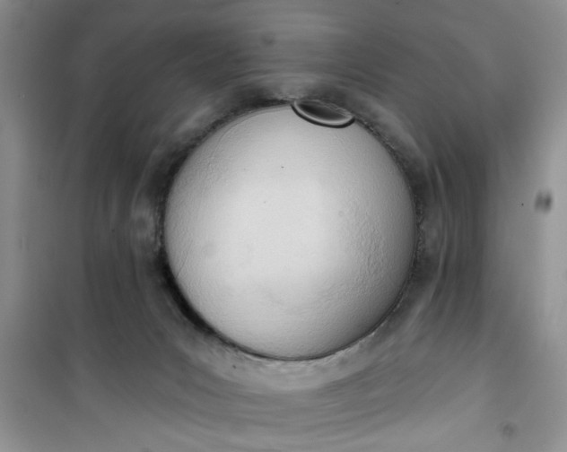 X0000100960031200807081252