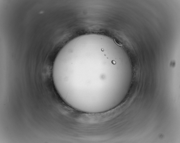 X0000100960033200807081252