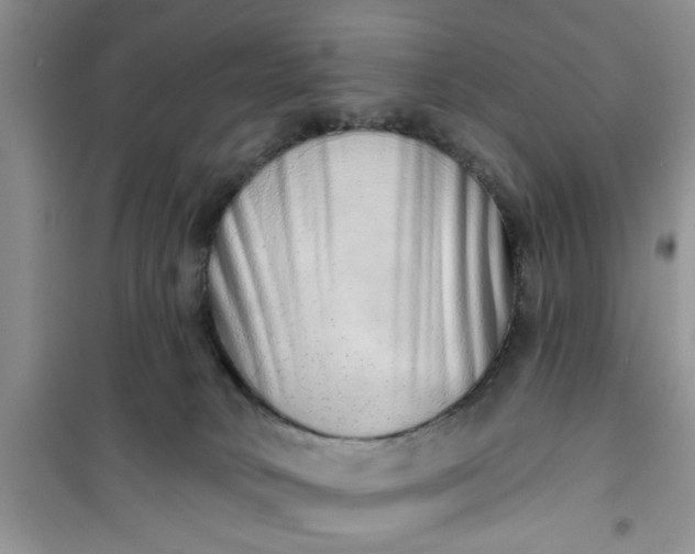 X0000100960034200807081252