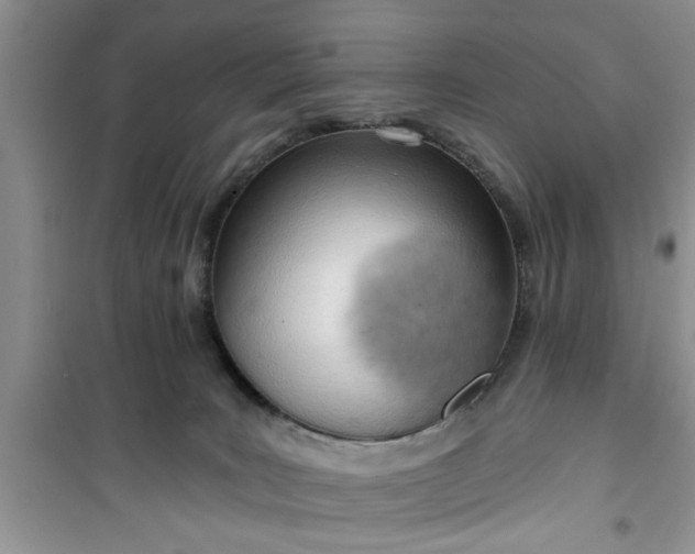 X0000100960035200807081252