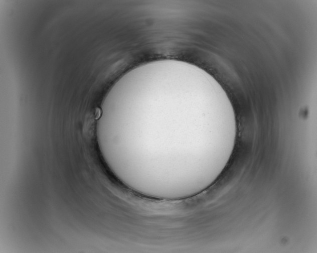 X0000100960036200807081252