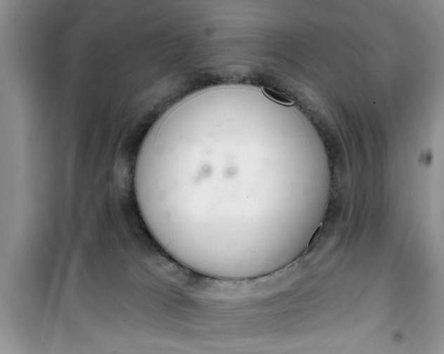 X0000100960037200807081252