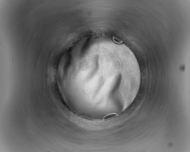 X0000100960038200807081252