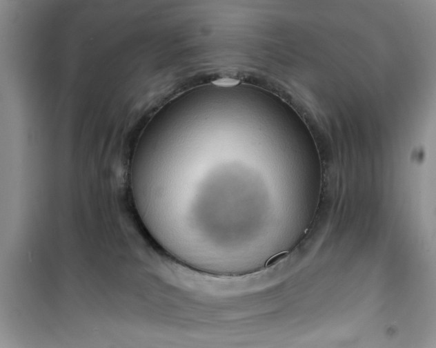 X0000100960039200807081252