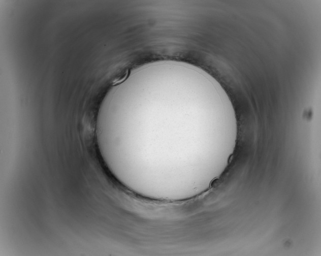 X0000100960040200807081252