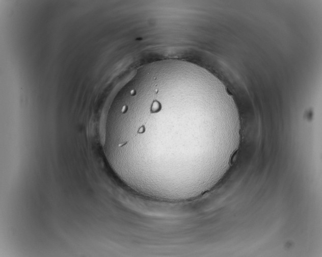 X0000100960044200807081252