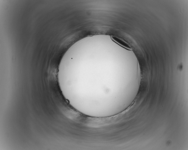 X0000100960045200807081252