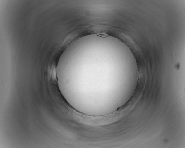 X0000100960046200807081252