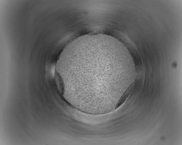 X0000100960047200807081252