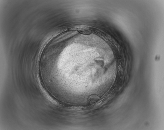 X0000100960049200807081251