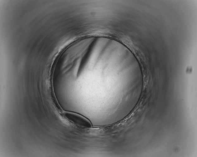 X0000100960050200807081251