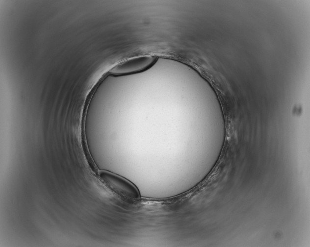 X0000100960052200807081251