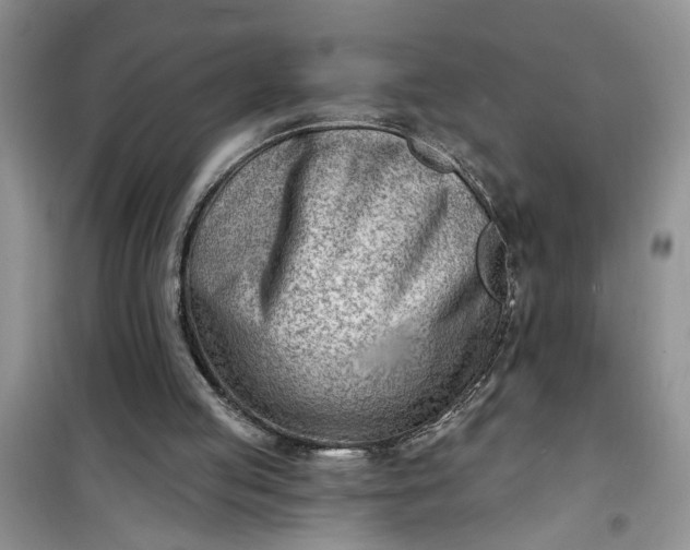 X0000100960053200807081251