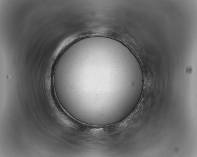 X0000100960054200807081251