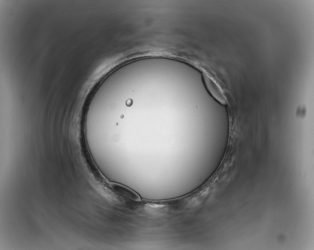 X0000100960055200807081251