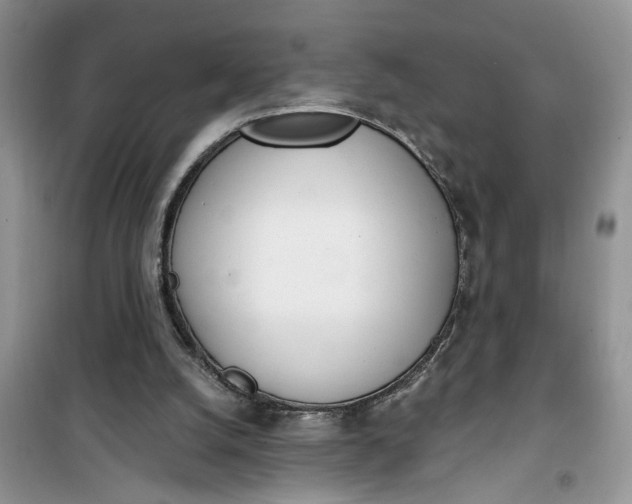 X0000100960056200807081251