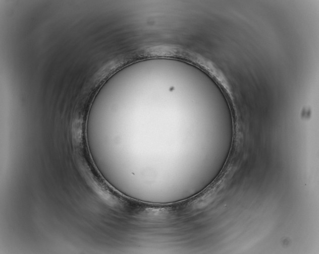 X0000100960057200807081251