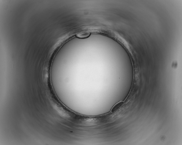 X0000100960059200807081251