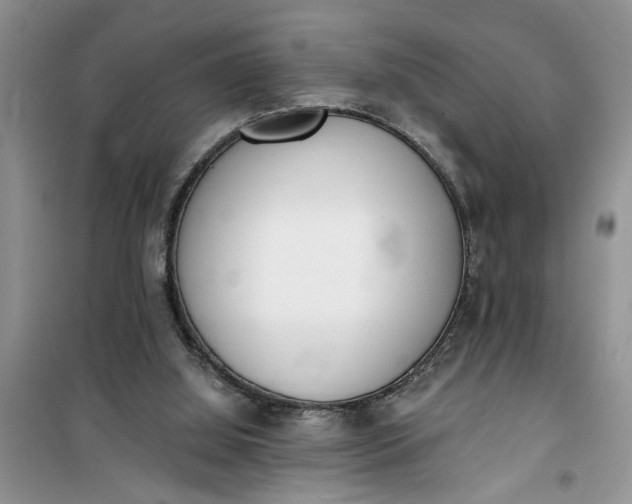 X0000100960060200807081251