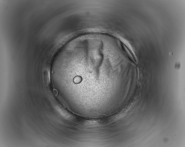 X0000100960061200807081251