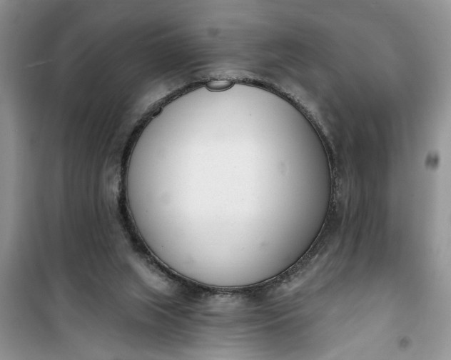 X0000100960063200807081251