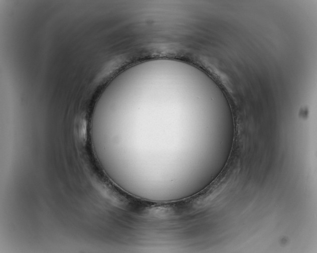 X0000100960067200807081251