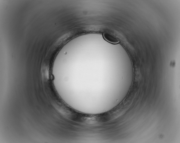 X0000100960068200807081251