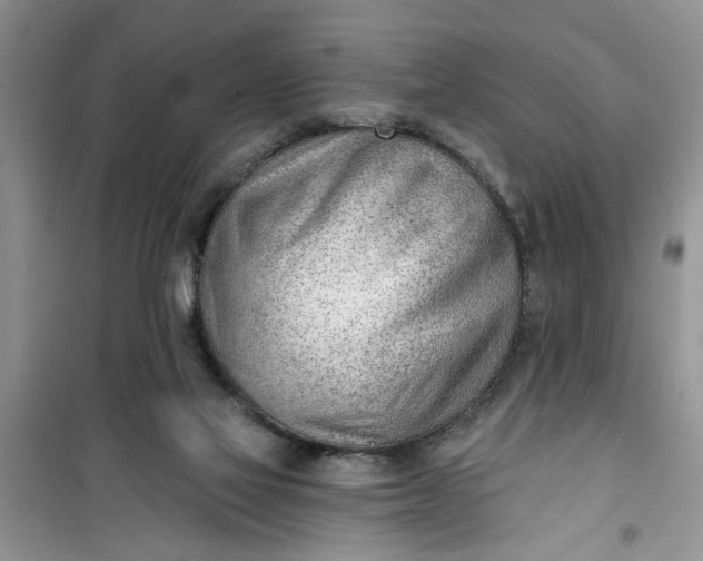 X0000100960069200807081252