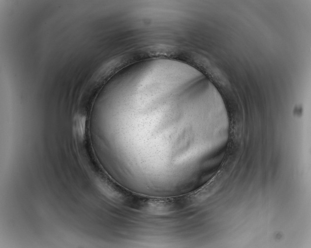 X0000100960070200807081252