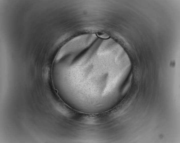 X0000100960071200807081252