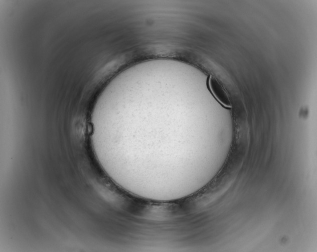 X0000100960072200807081252