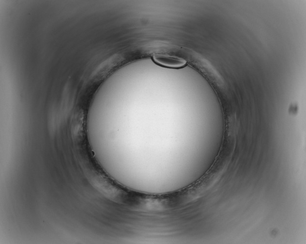 X0000100960073200807081252