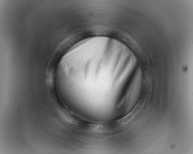 X0000100960074200807081252