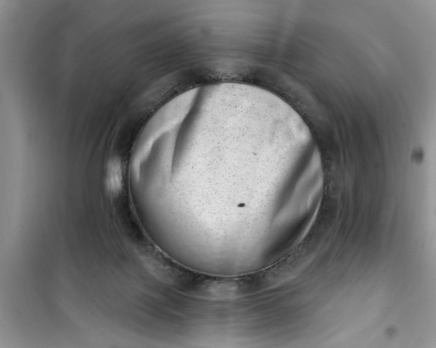 X0000100960075200807081252