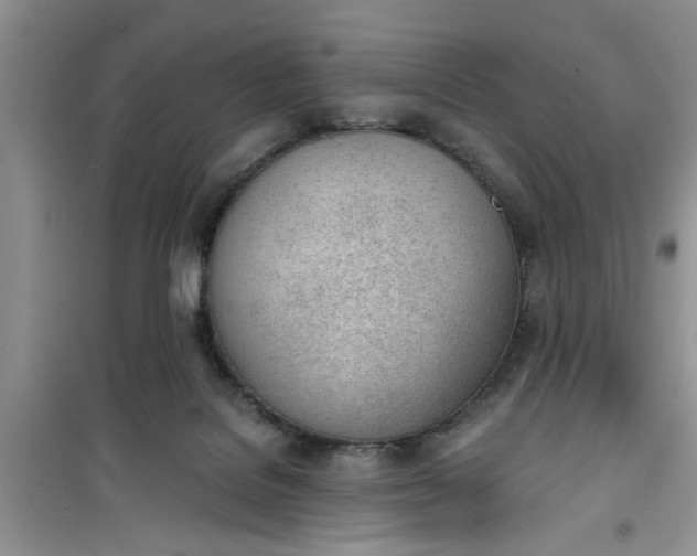 X0000100960076200807081252