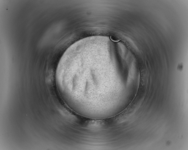 X0000100960077200807081252