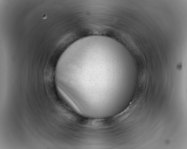 X0000100960078200807081252