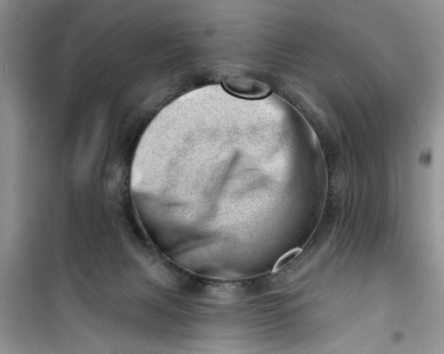 X0000100960079200807081252