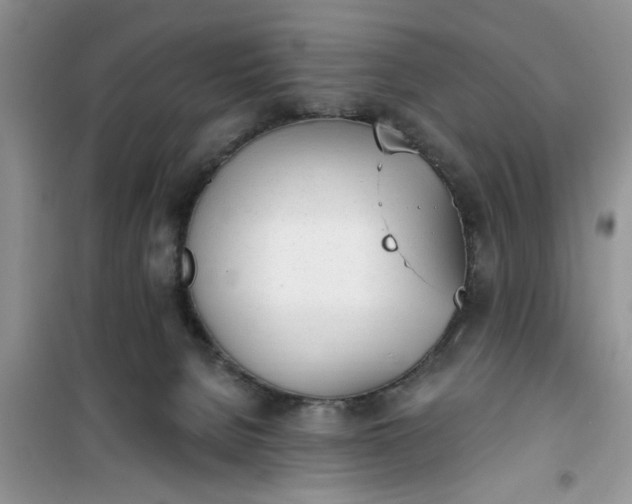 X0000100960080200807081252