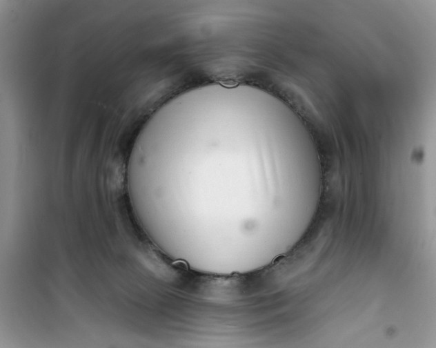 X0000100960081200807081252