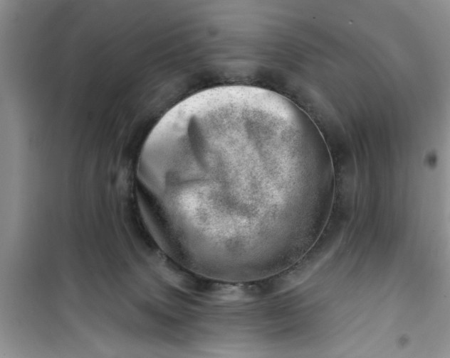 X0000100960083200807081252