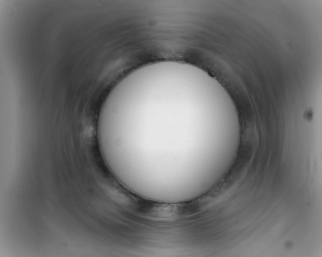 X0000100960084200807081252