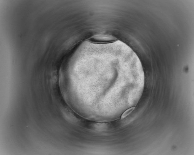 X0000100960085200807081252