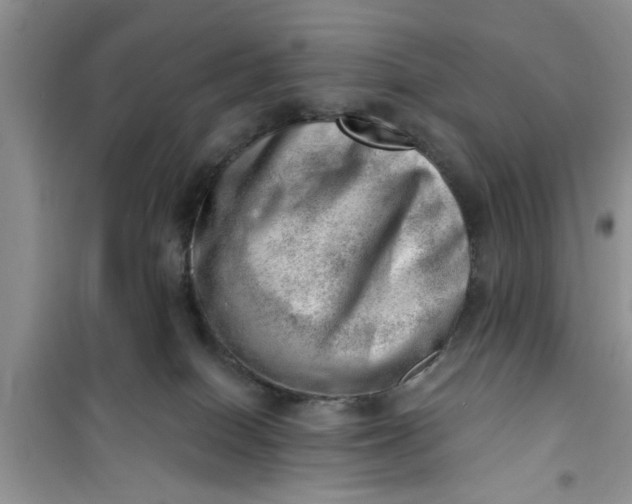 X0000100960086200807081252