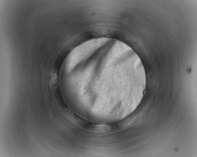 X0000100960087200807081252