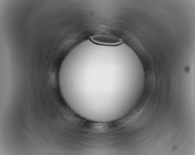 X0000100960088200807081252